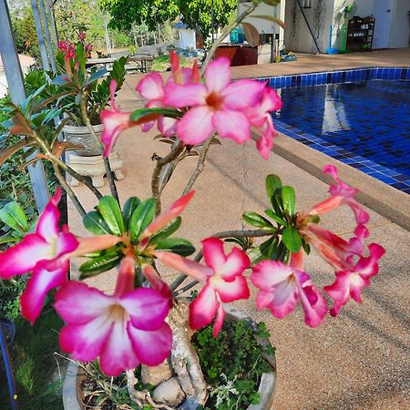 Lemax Homestay And Thailand Tours Phetchaburi Exterior foto